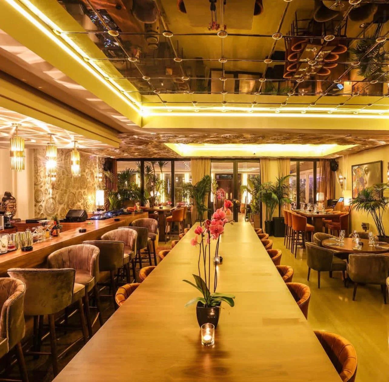 KÔYA Restaurant Lounge